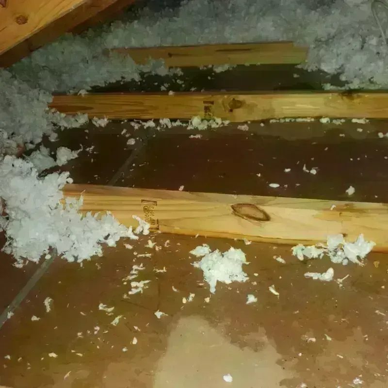 Attic Water Damage in Lakeland South, WA