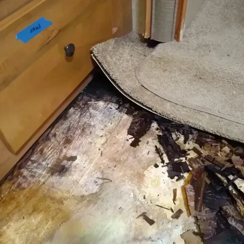 Wood Floor Water Damage in Lakeland South, WA